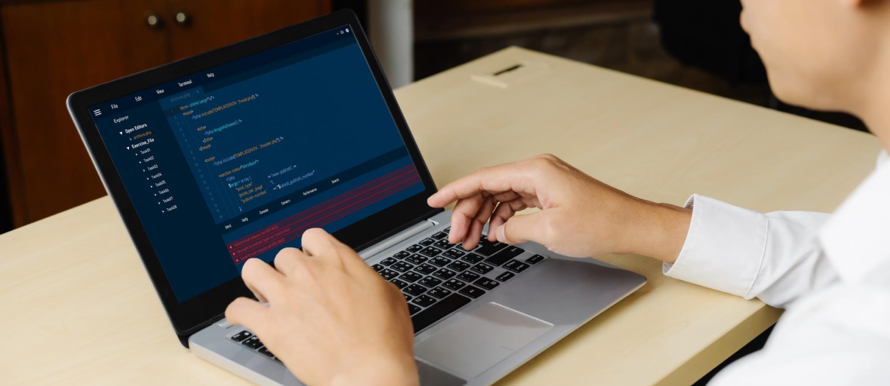 Custom WooCommerce & WordPress Themes — project by Ali Emami